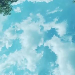 Meet your Posher, Ayden